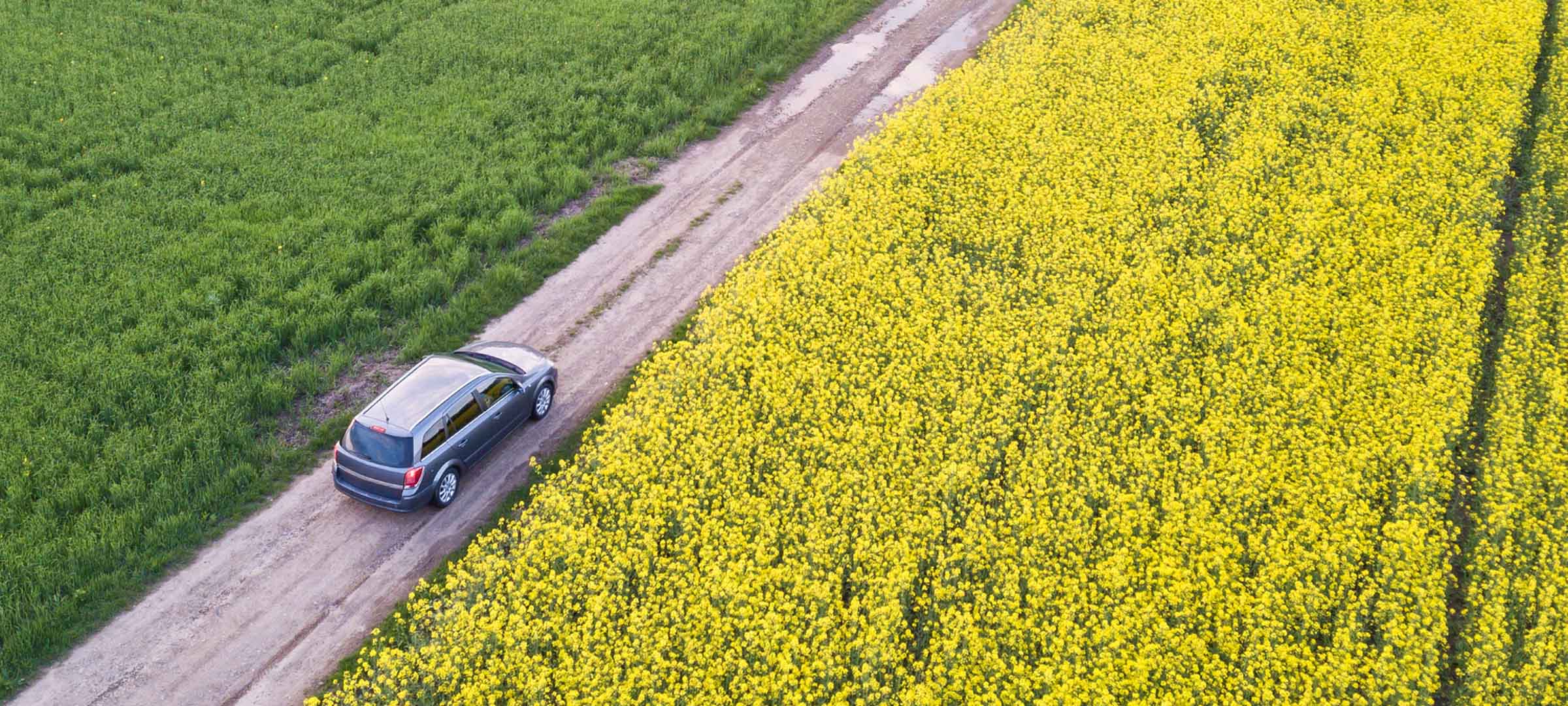 auto_spring auto_spring