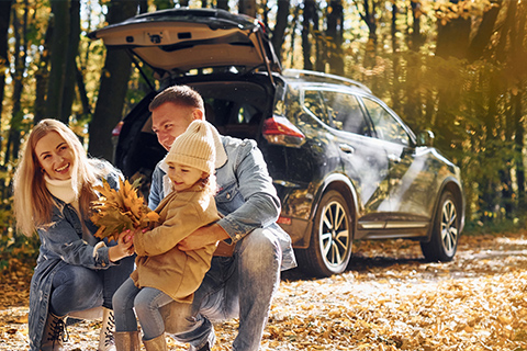 Auto Insurance